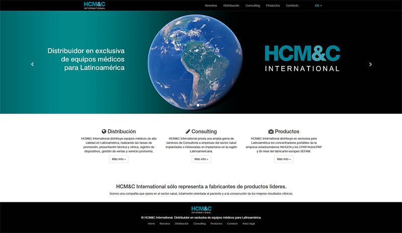 hcmcinternational.com